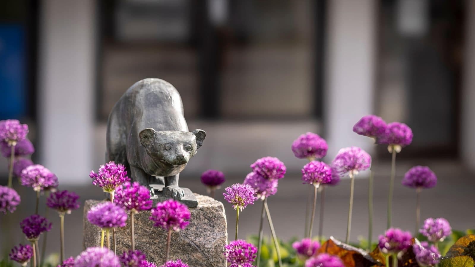Skulptur av et dyr på sokkel omgitt av lilla blomster med kuleformede blomsterhoder, fotografert utendørs