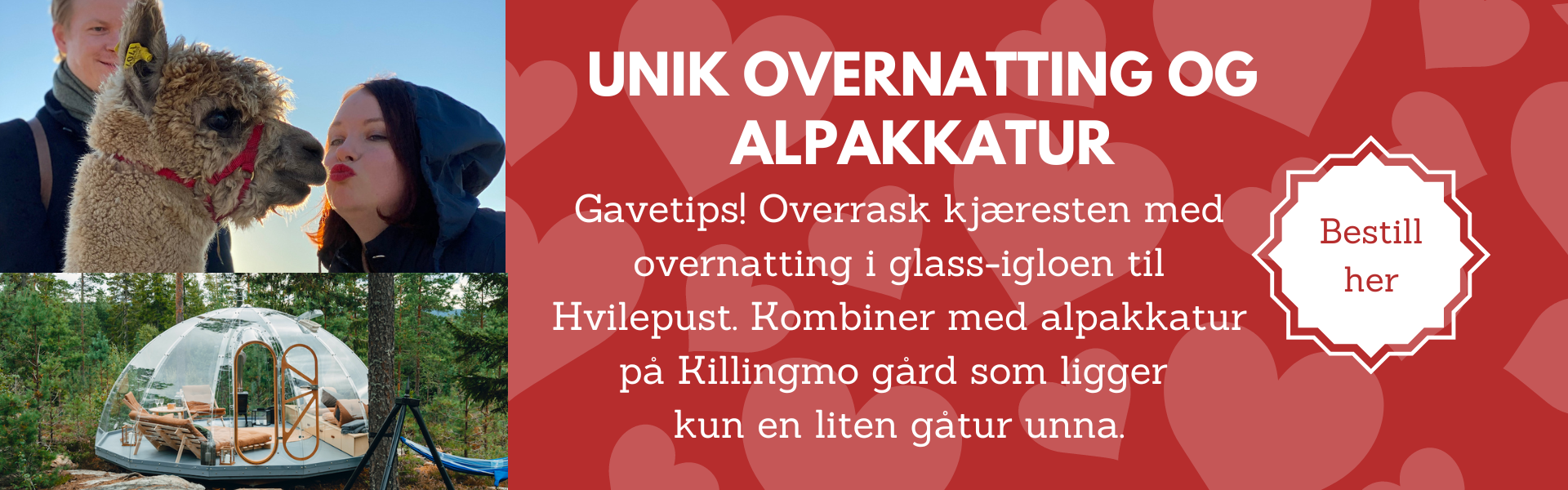 2023 Valentine Hvilepust og killingmo.png