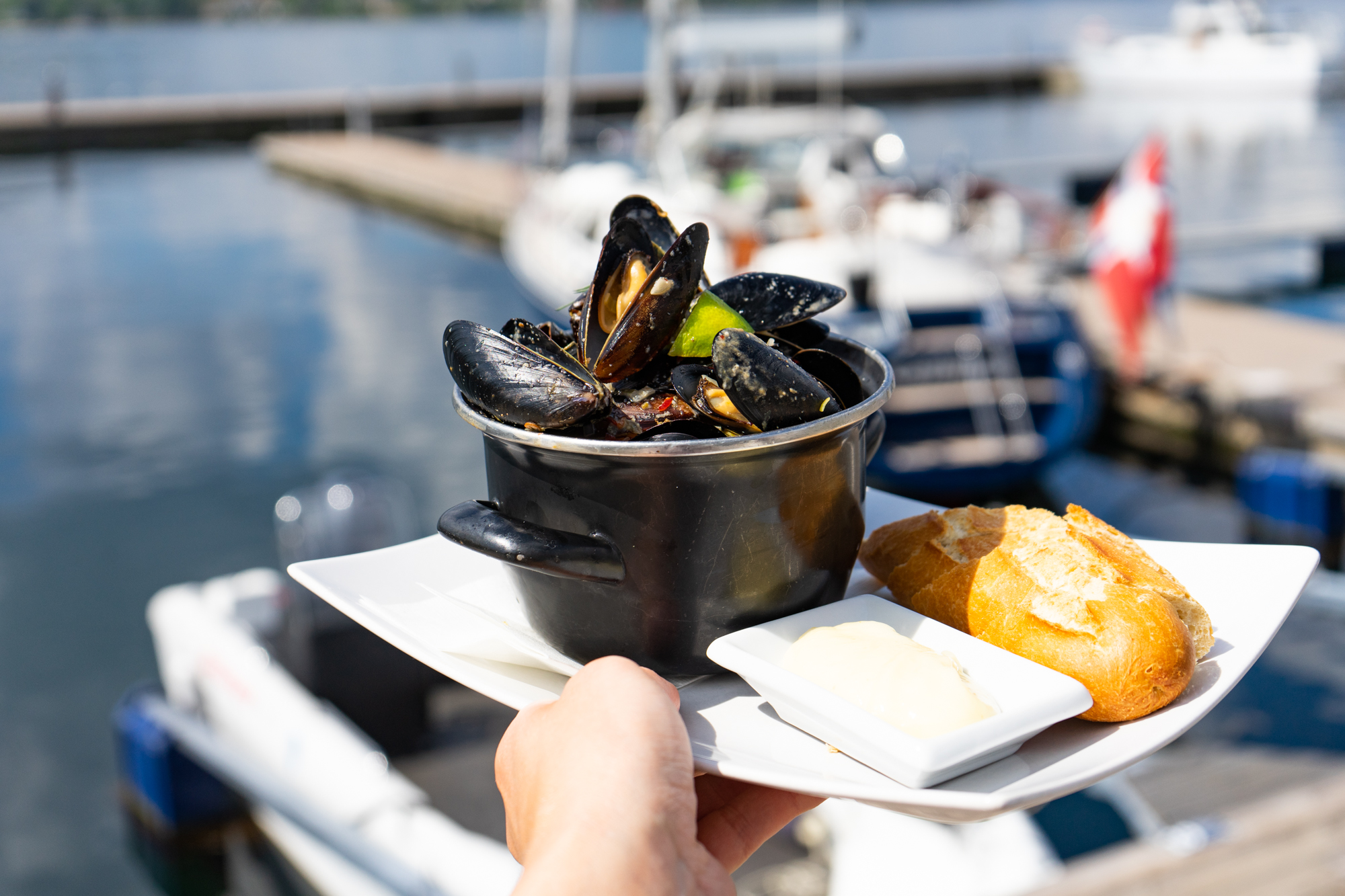 Mussels with fiord view 